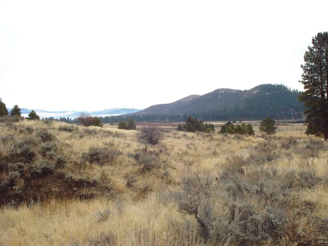 Portola, CA 96122,79177 Brae Gate Road