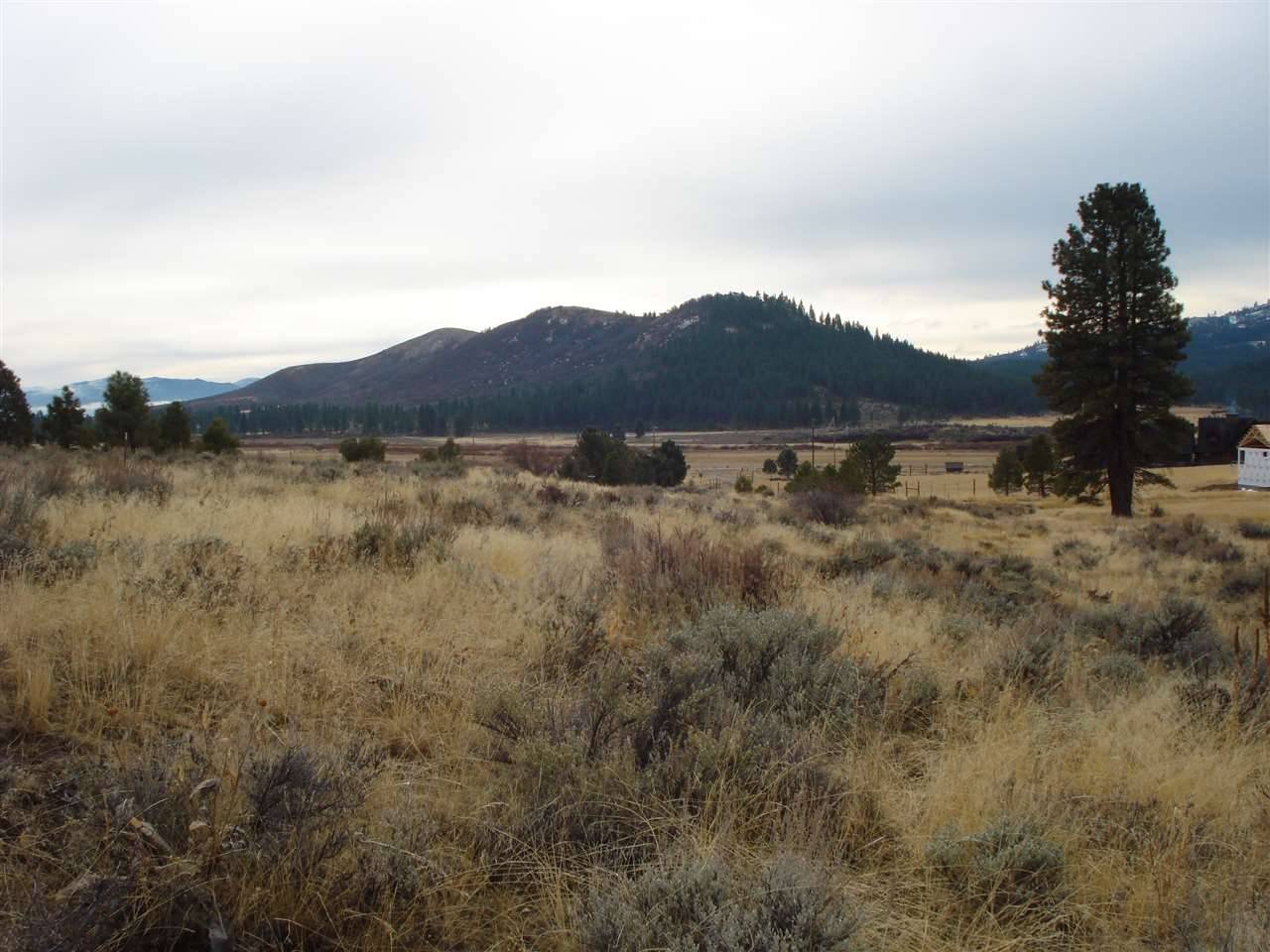 Portola, CA 96122,79177 Brae Gate Road