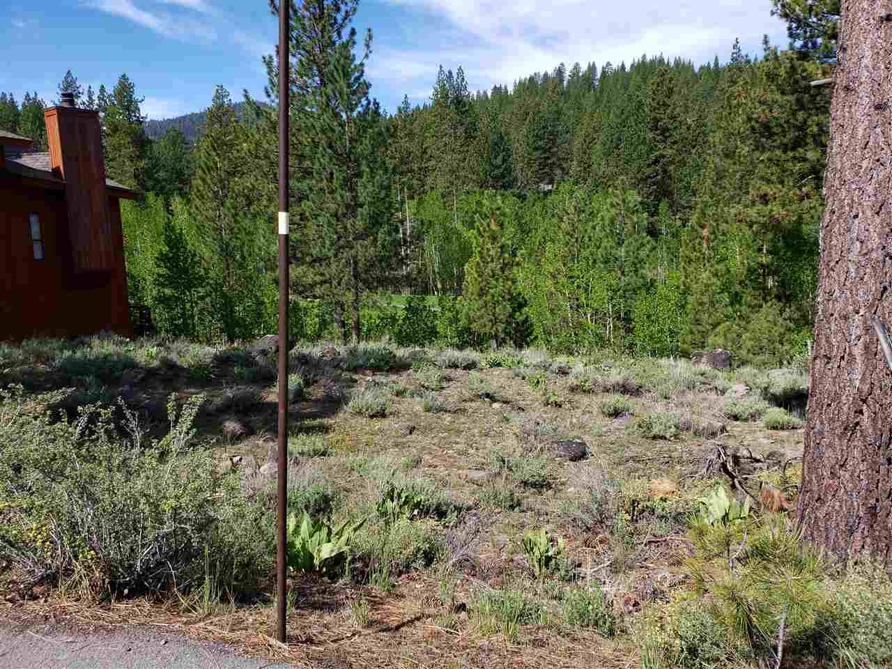 Truckee, CA 96161,309 Skidder Trail