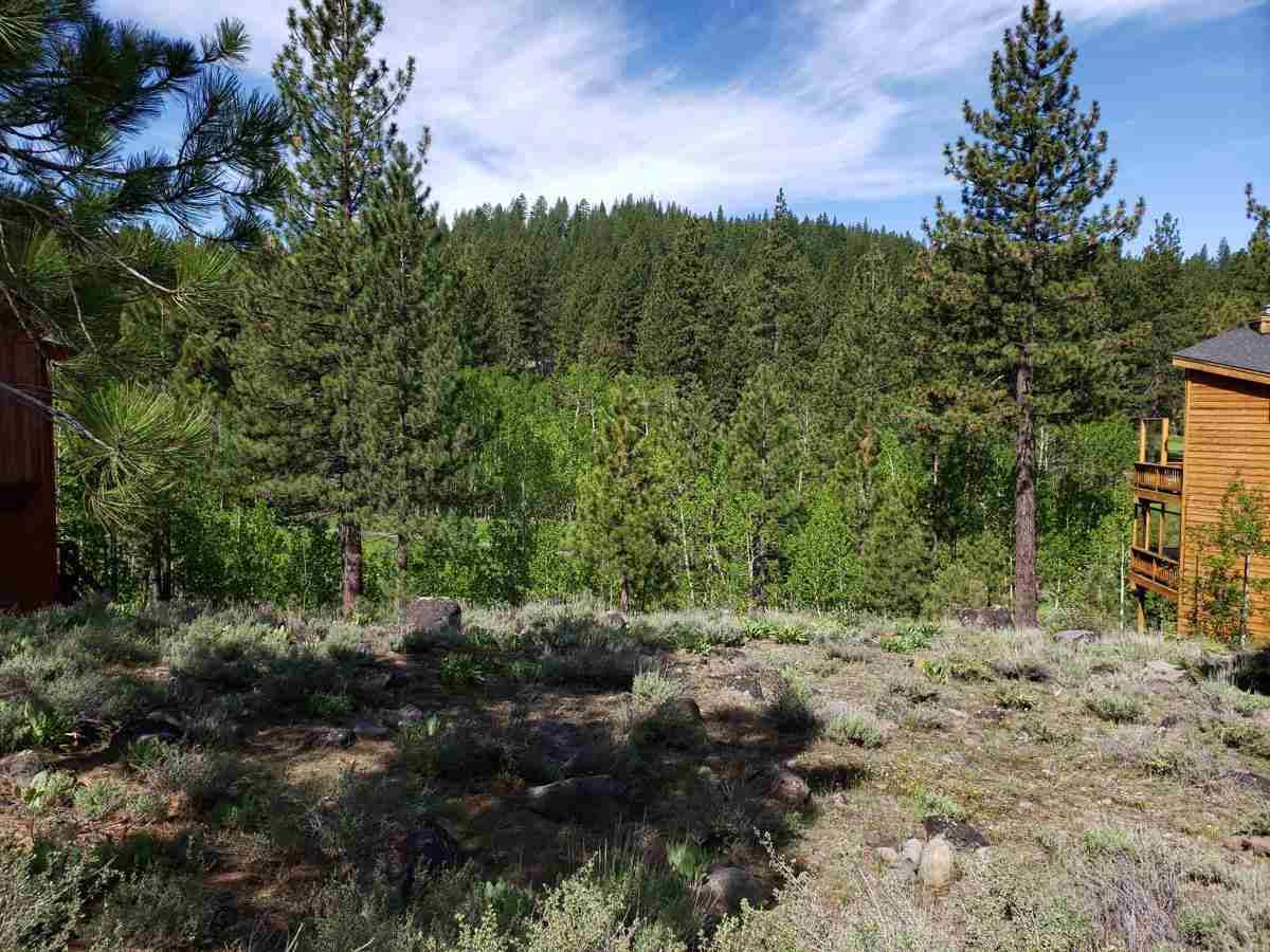 Truckee, CA 96161,309 Skidder Trail