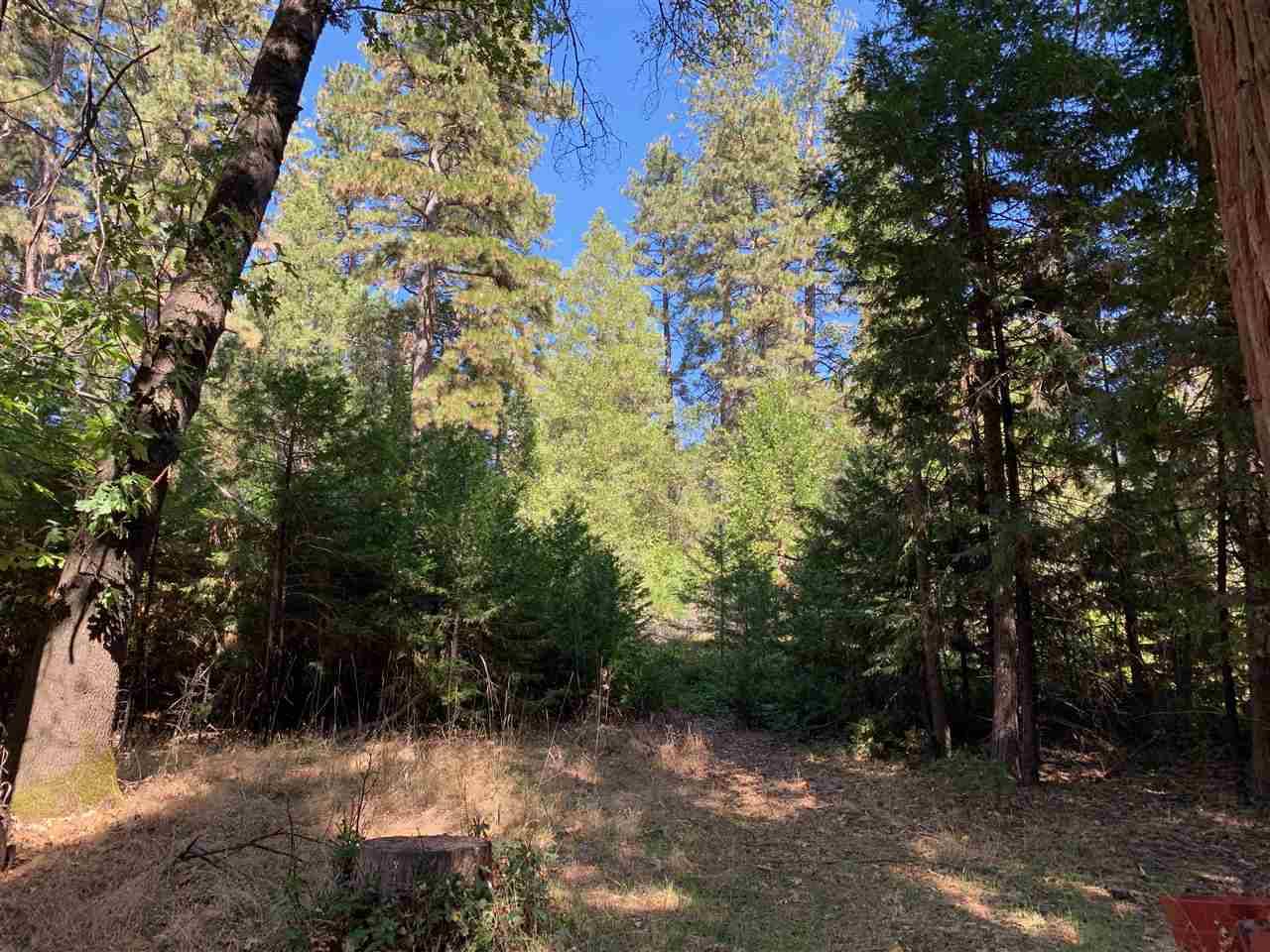 Grass Valley, CA 95945,10982 Rough and Ready Highway