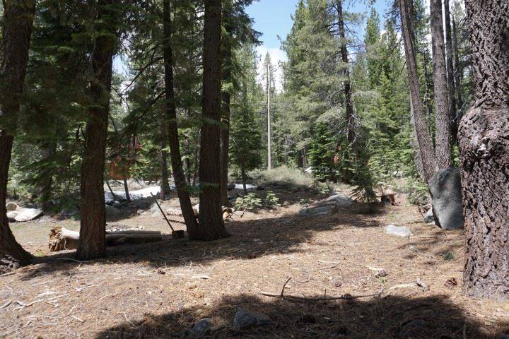 Soda Springs, CA 96161-0000,50905 White Fir Terrace