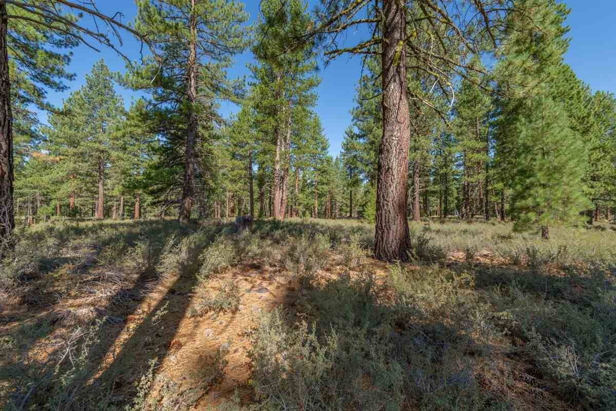 Truckee, CA 96161,12652 Caleb Circle ##76