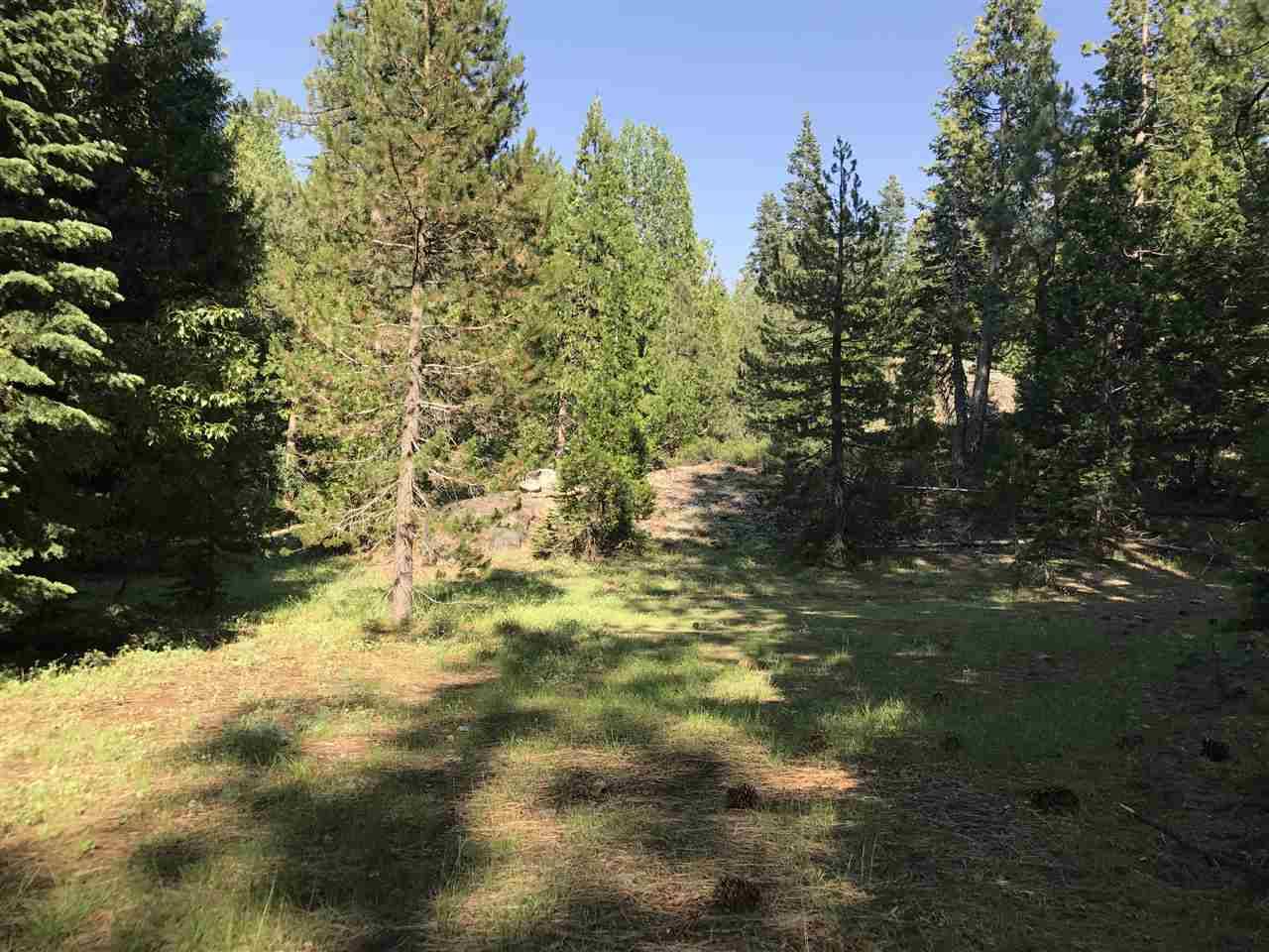 Emigrant Gap, CA 95715,000 Cisco Road