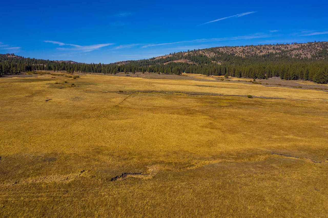 Chilcoot, CA 96105,10179 Frenchman Boulevard