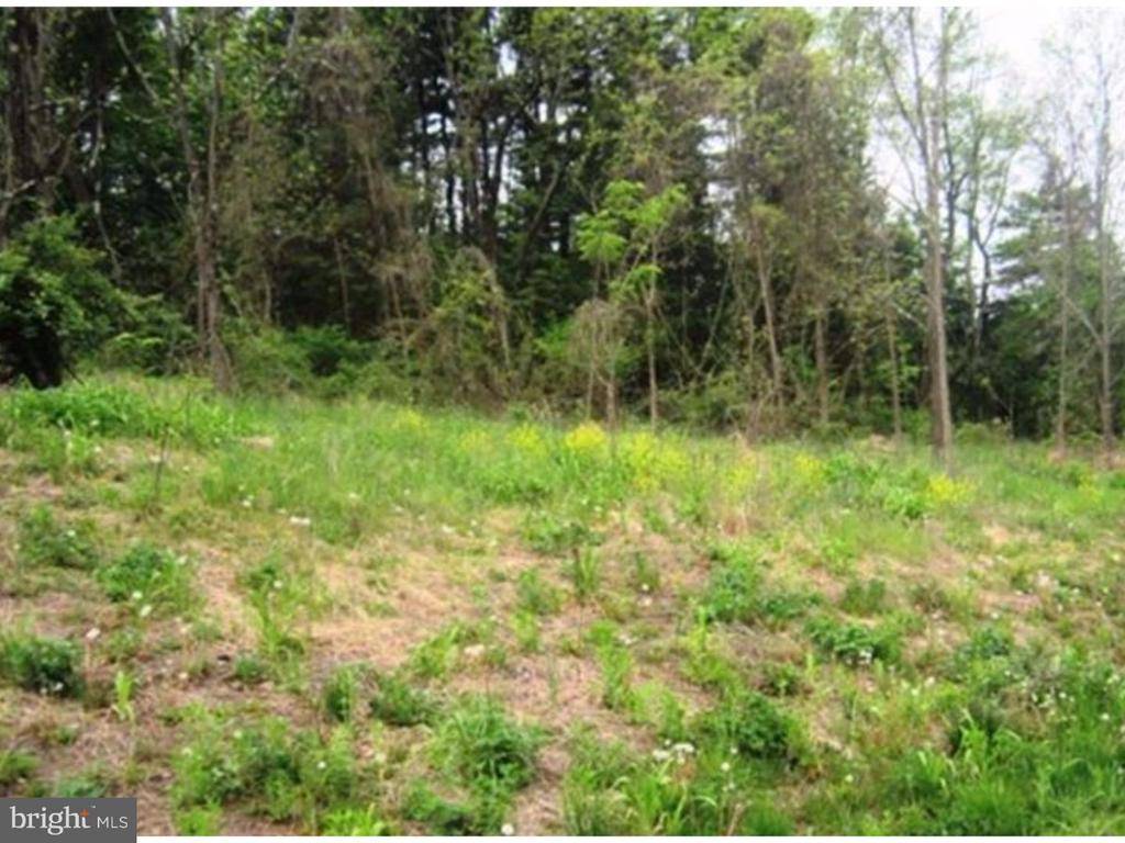 Perkiomenville, PA 18074,LOT 7 LITTLE RD