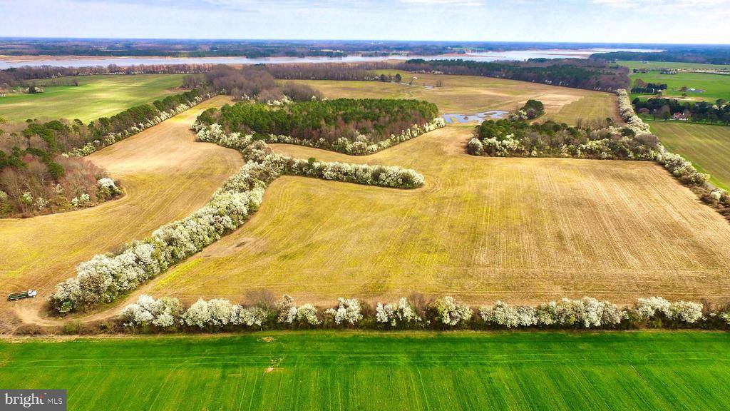 Trappe, MD 21673,SPRING FARM