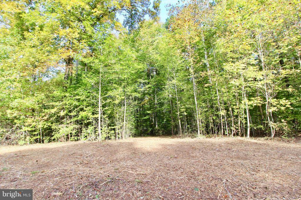 Mineral, VA 23117,LOT 372 LAKE FOREST DR