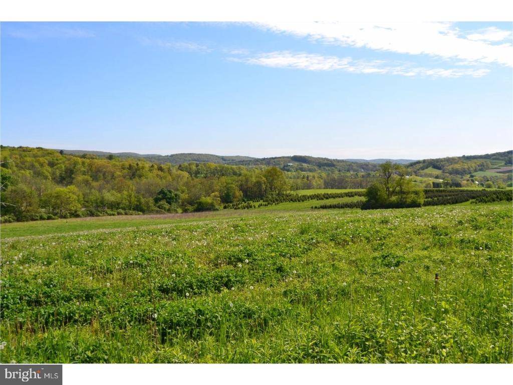 Orwigsburg, PA 17961,0 KIMMELS RD #LOT#4