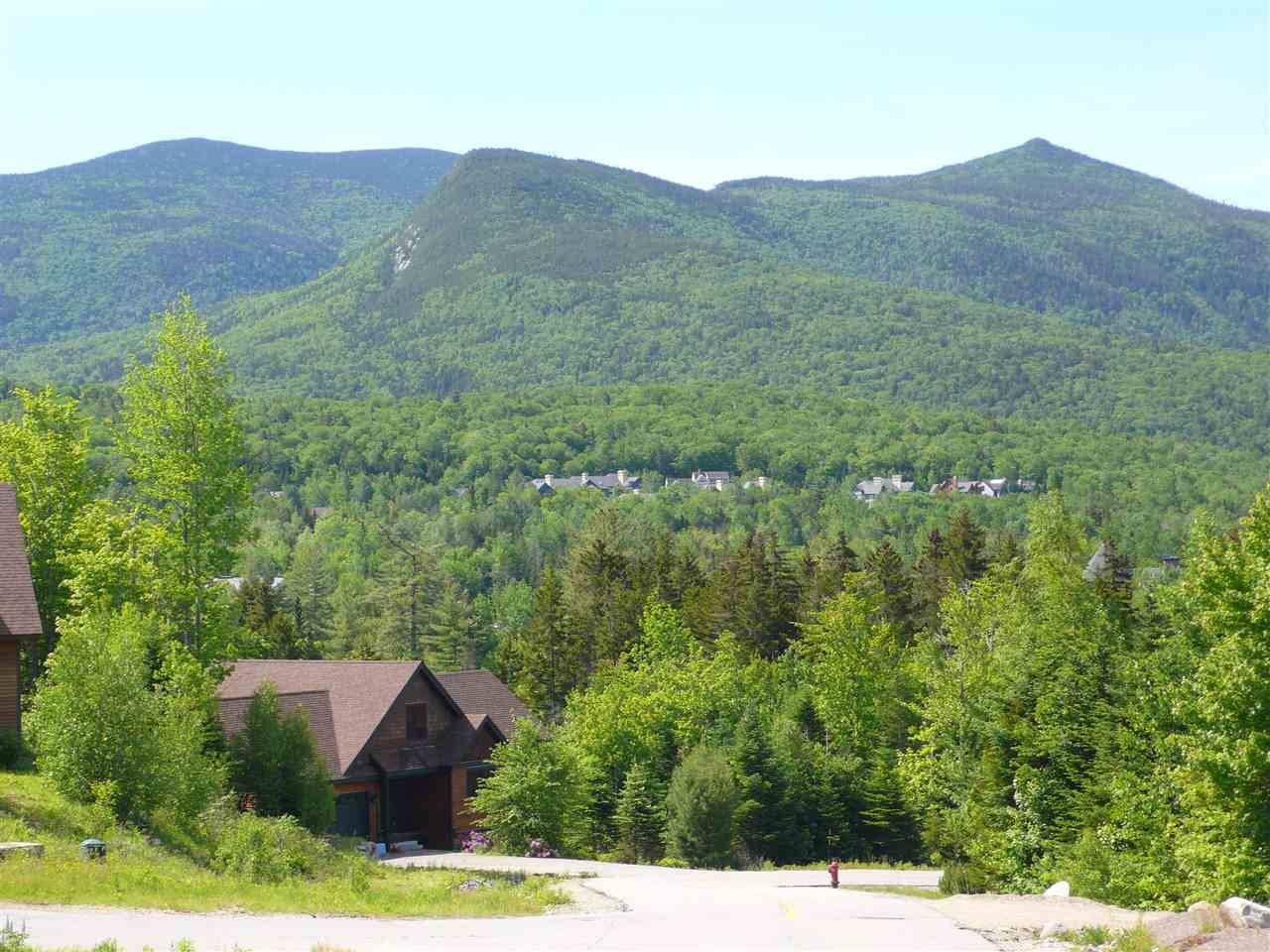 Waterville Valley, NH 03215,36 Lost Pass RD #Lot 22