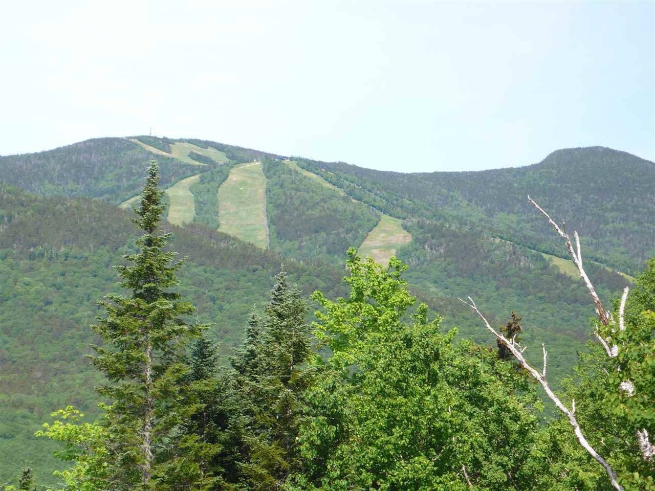 Waterville Valley, NH 03215,36 Lost Pass RD #Lot 22