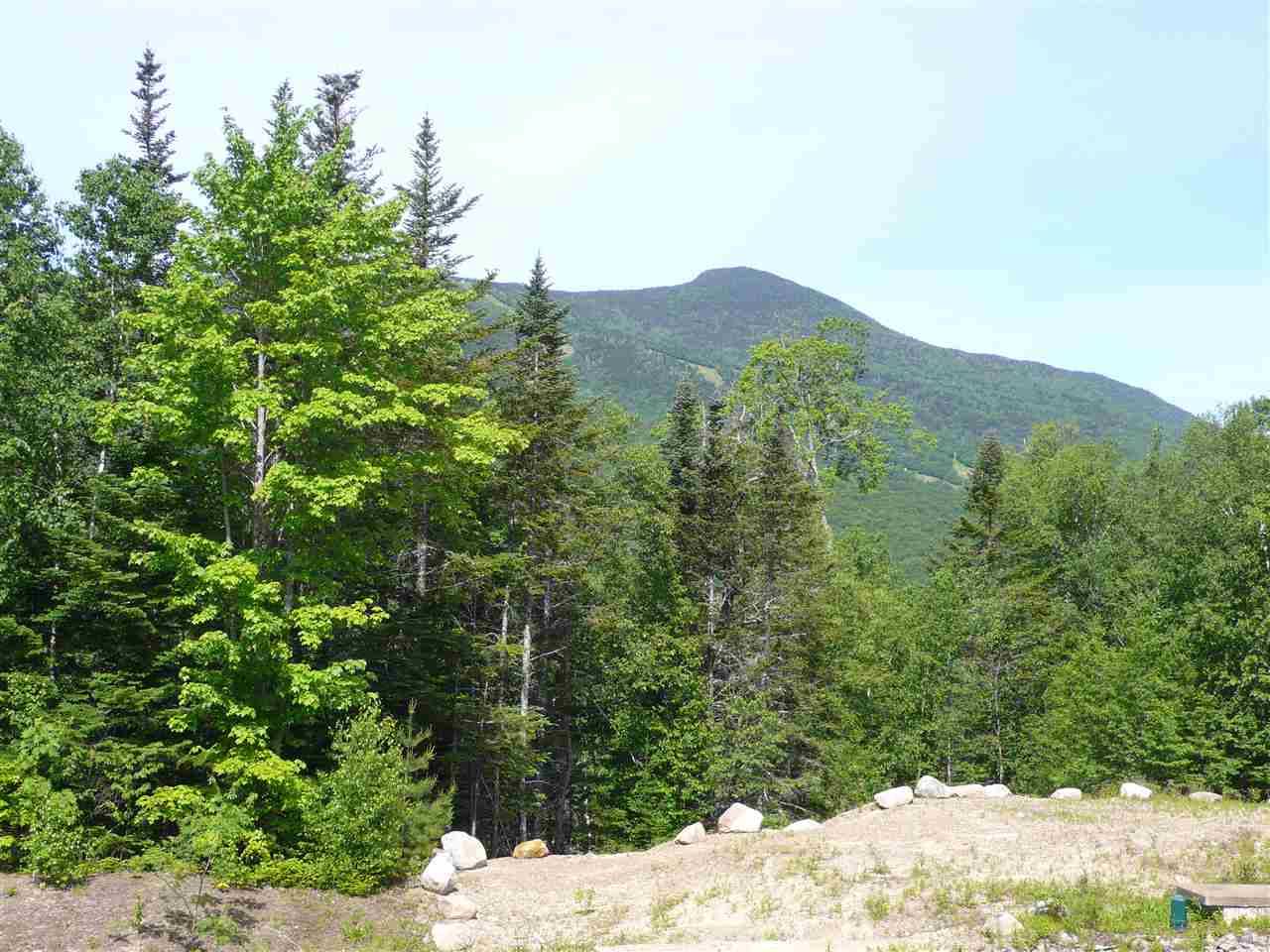 Waterville Valley, NH 03215,36 Lost Pass RD #Lot 22