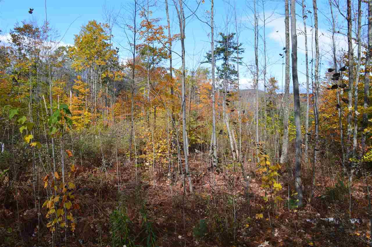 Tuftonboro, NH 03816,Lot 1 Durgin RD