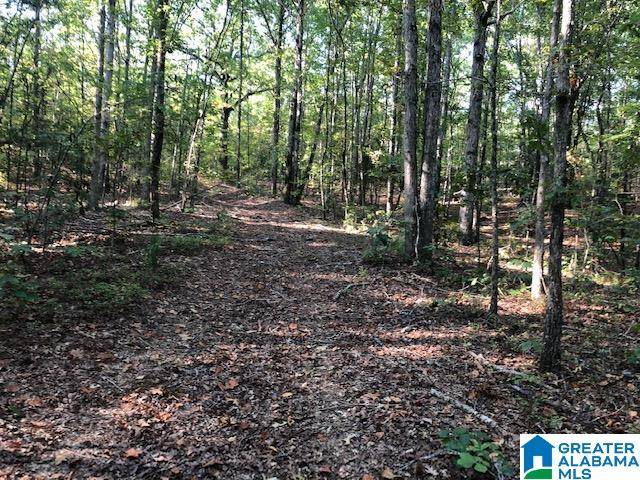 Camp Hill, AL 36850,900 HOLLOWAY RD #58 Ac.