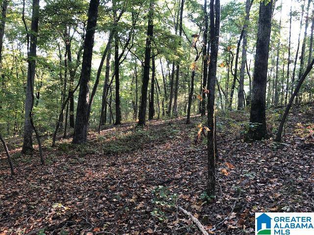 Camp Hill, AL 36850,900 HOLLOWAY RD #58 Ac.