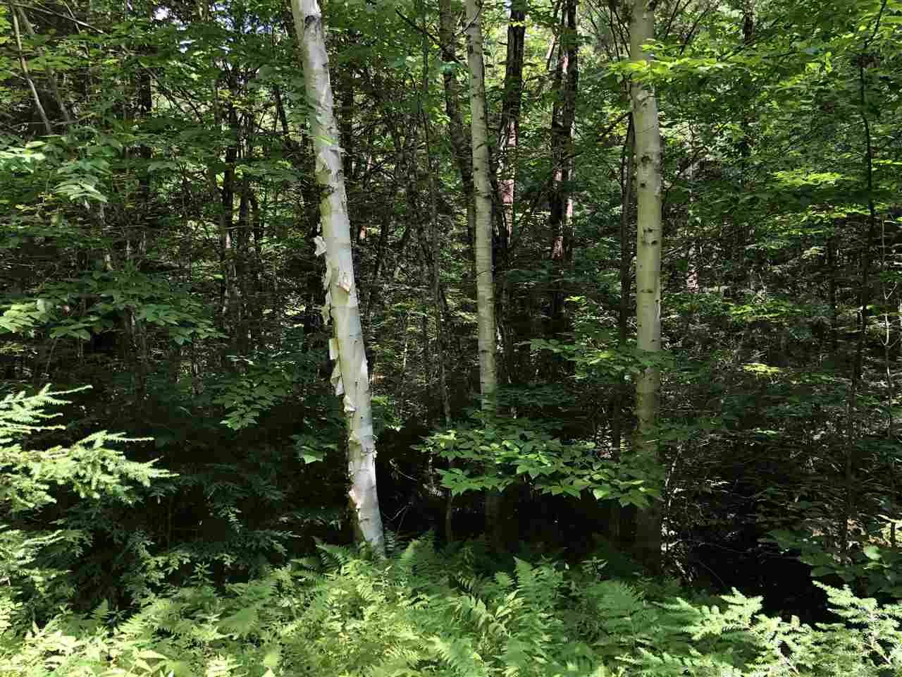 Enfield, NH 03748,0 Pauls PL