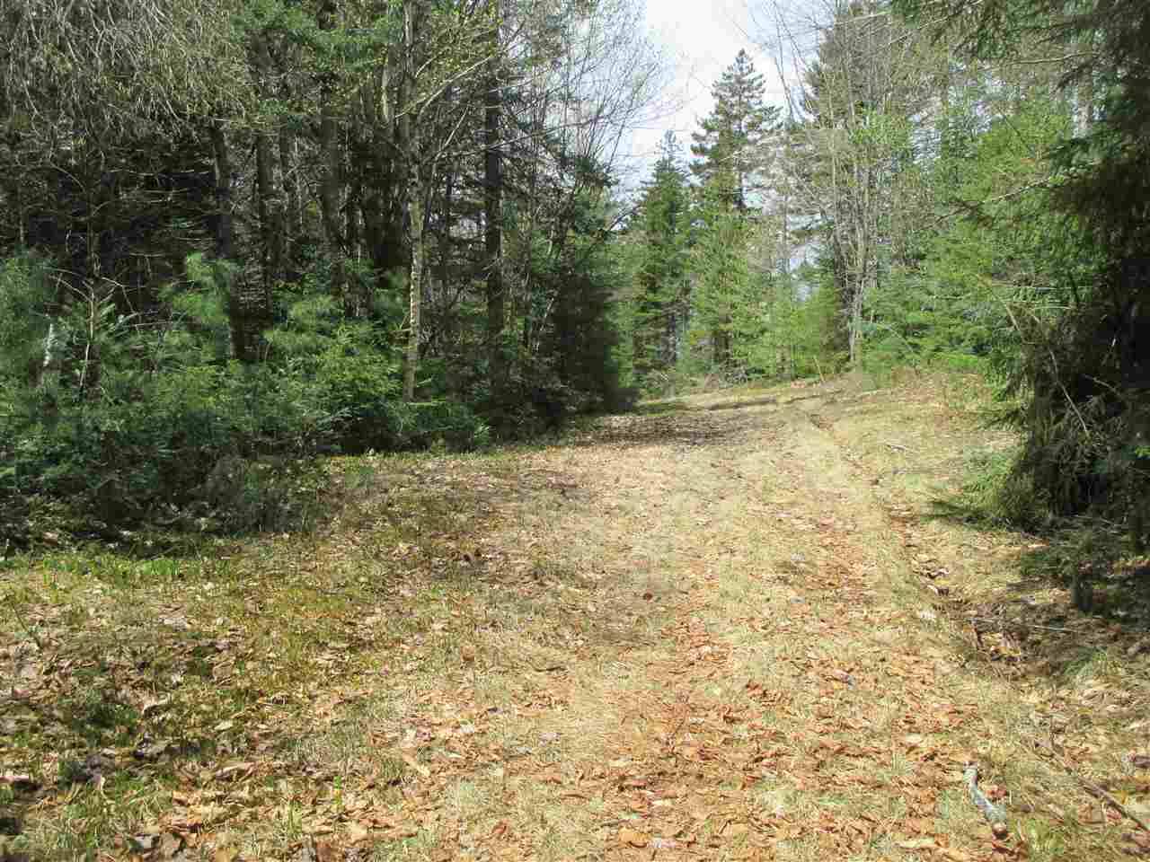 Waterville Valley, NH 03215,29.2 Moose RUN #29.2