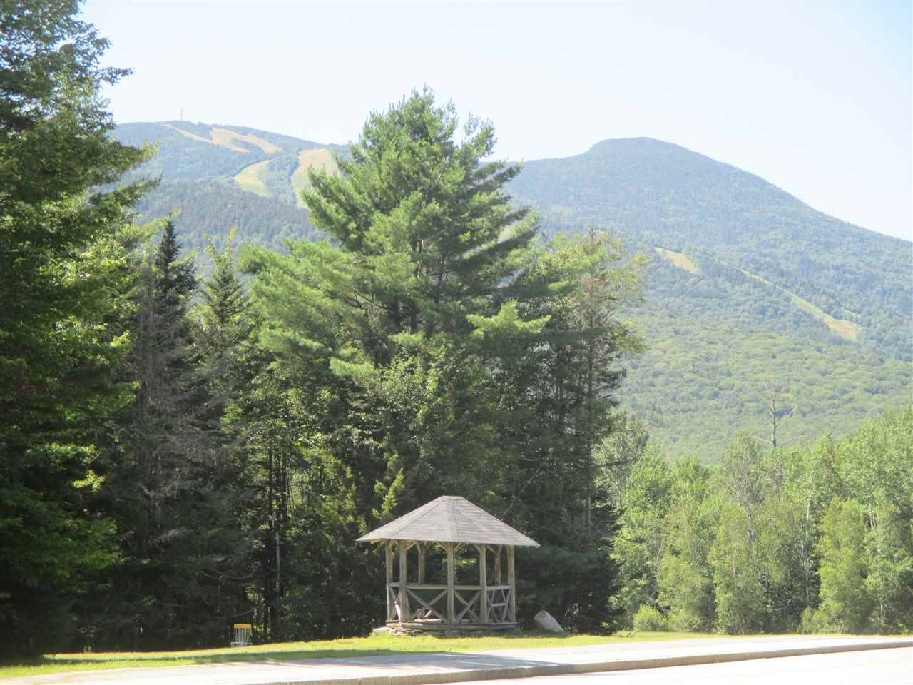 Waterville Valley, NH 03215,4 Golden Heights RD #29.1