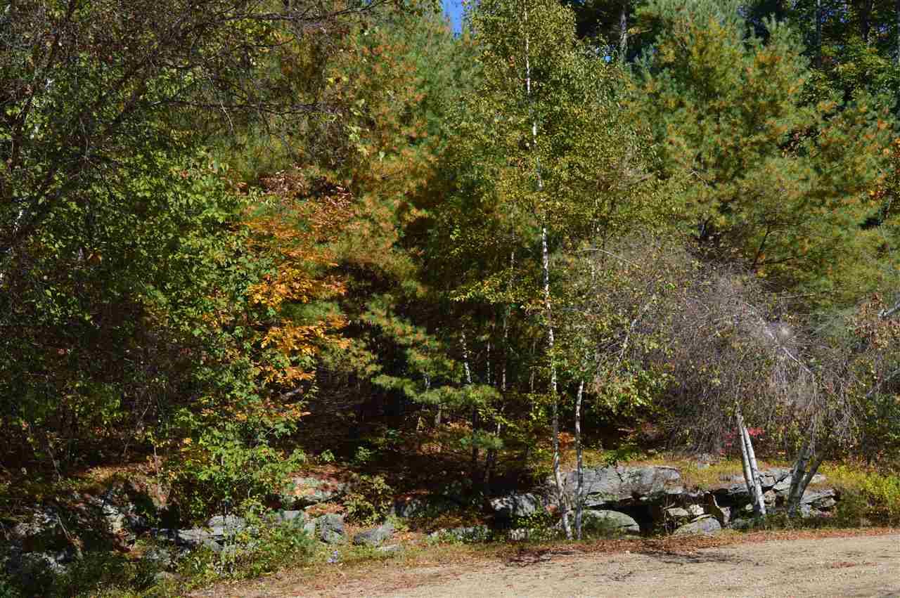 Tuftonboro, NH 03816,4 Sagamore RDG #Lot 4