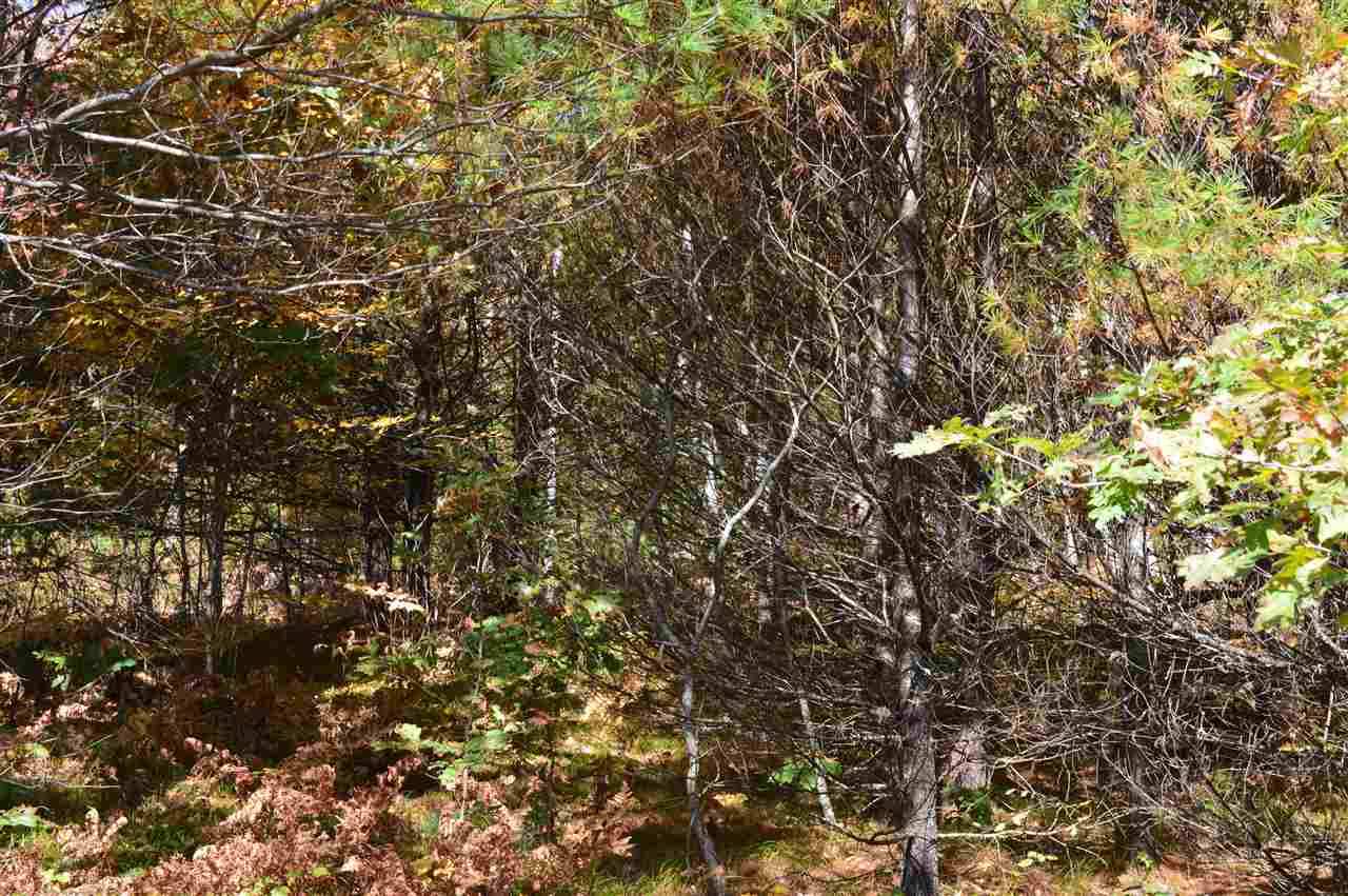 Tuftonboro, NH 03816,4 Sagamore RDG #Lot 4