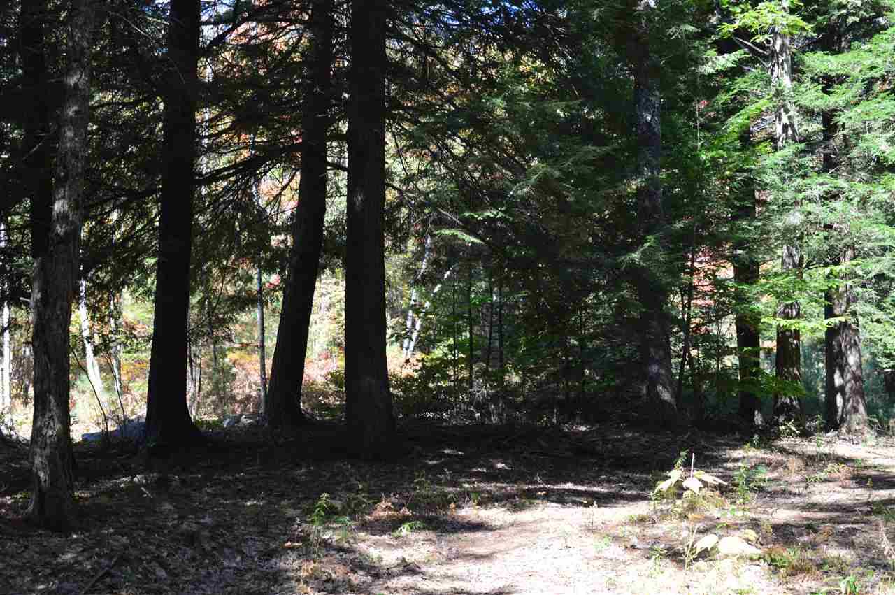 Tuftonboro, NH 03816,4 Sagamore RDG #Lot 4