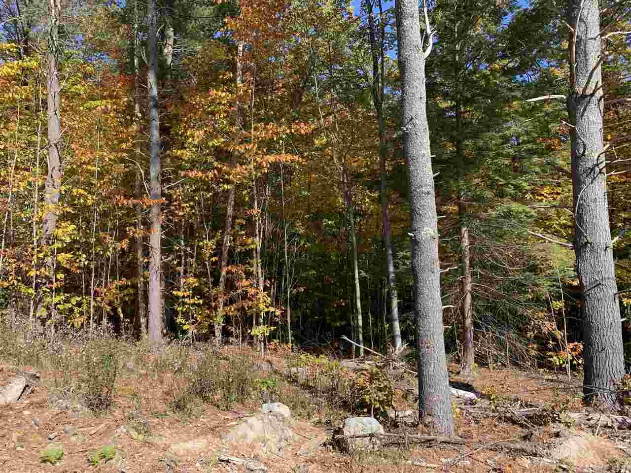 Tuftonboro, NH 03816,Neal Hill RD #23