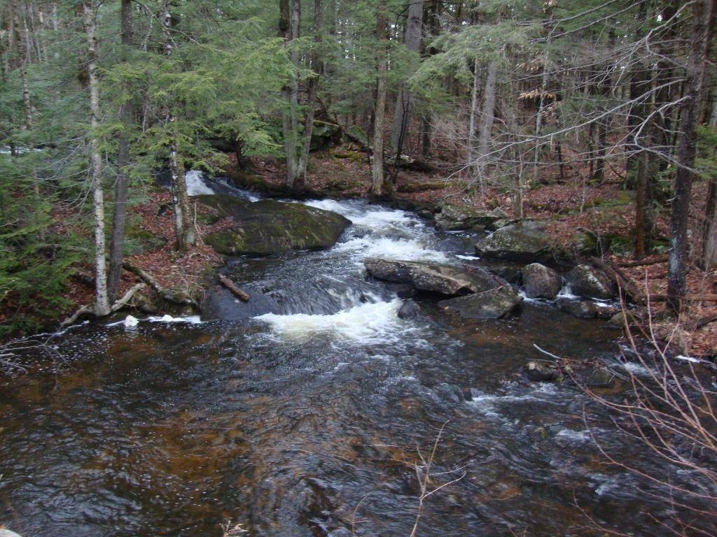 Sutton, NH 03260,HOMINY POT RD #Lot 1