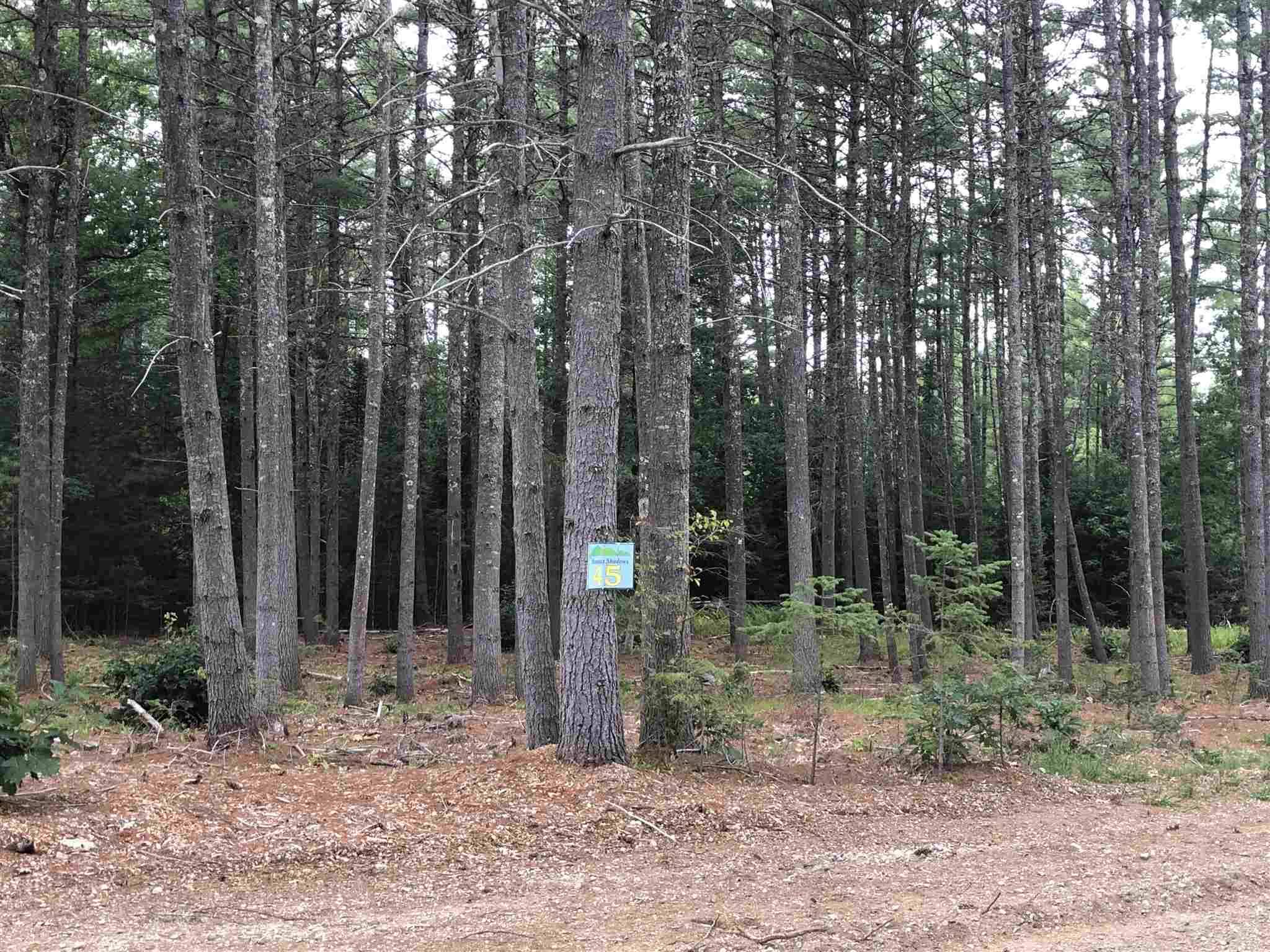 Tuftonboro, NH 03816,#45 Lyndsay LN #Lot 45