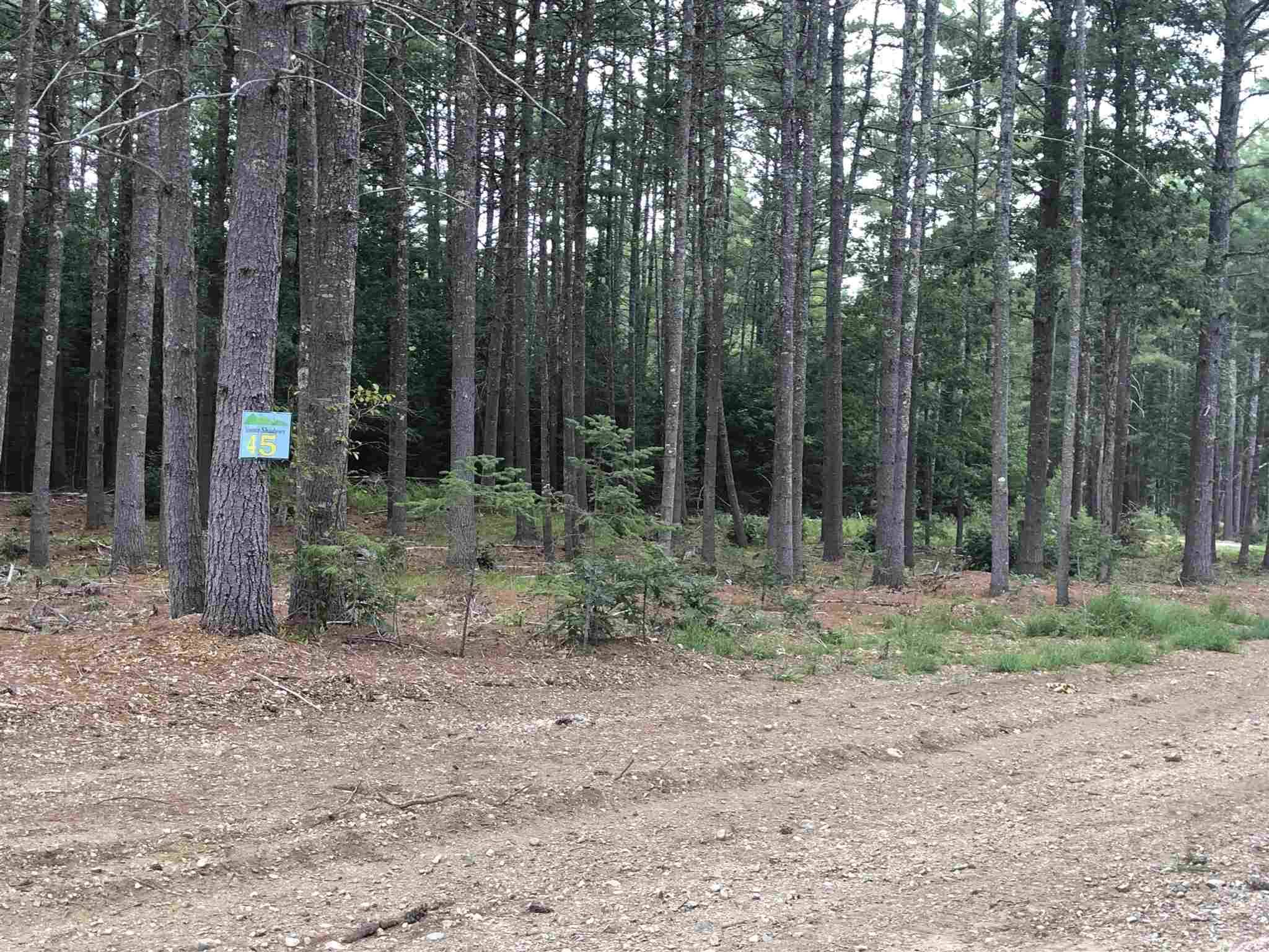 Tuftonboro, NH 03816,#45 Lyndsay LN #Lot 45