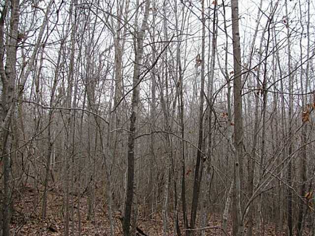 Morris Chapel, TN 38361,0 MCCULLOUGH ROAD