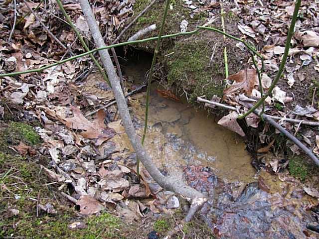 Morris Chapel, TN 38361,0 MCCULLOUGH ROAD