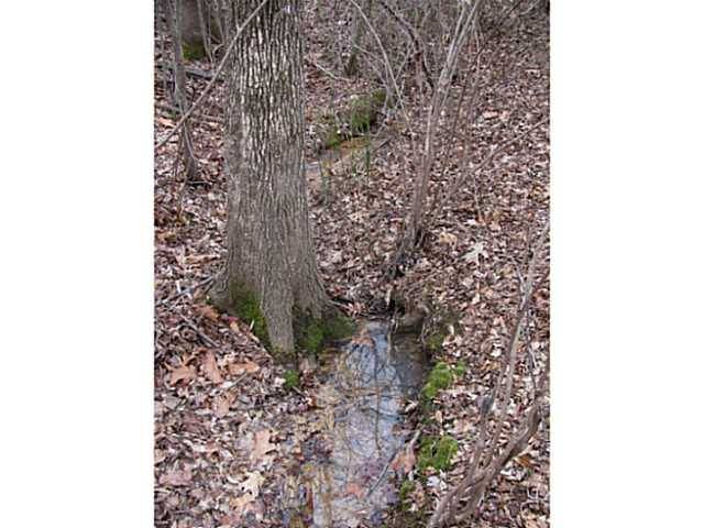 Morris Chapel, TN 38361,0 MCCULLOUGH ROAD