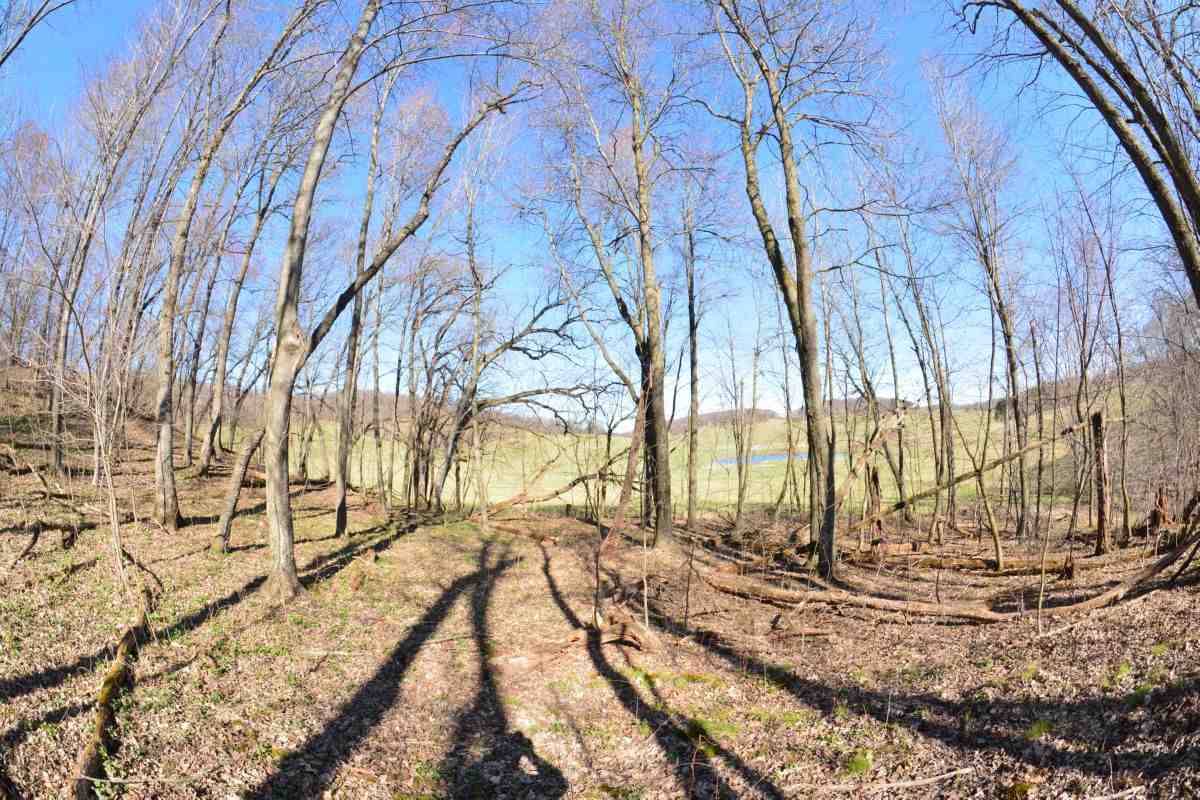 Loganville, WI 53943,0000 Lone Oak Ln