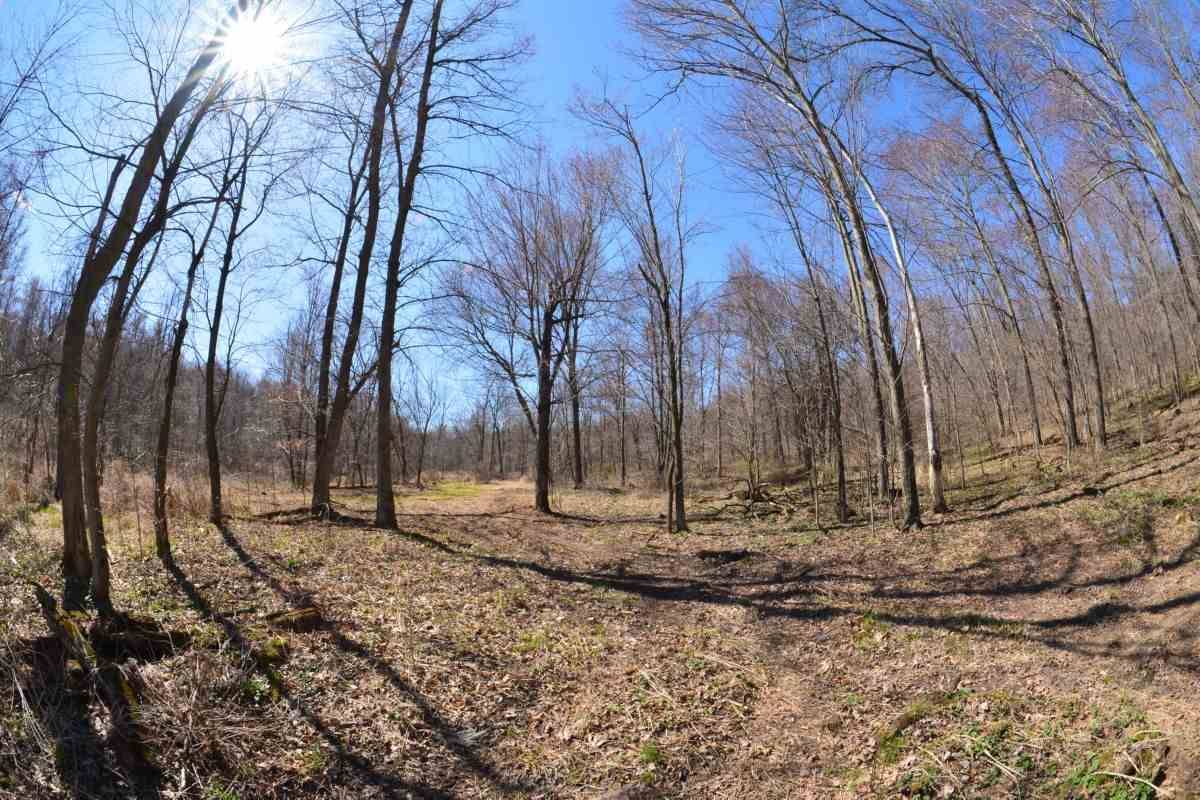 Loganville, WI 53943,0000 Lone Oak Ln