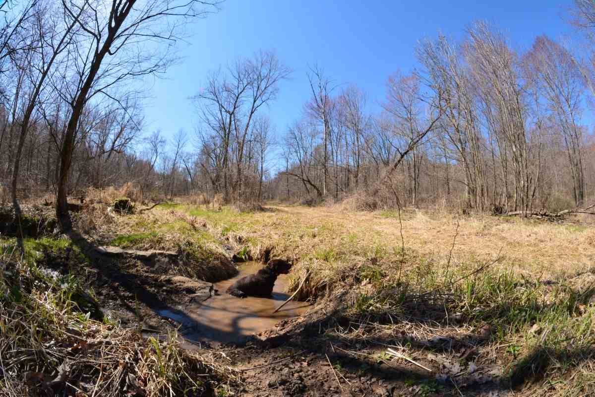 Loganville, WI 53943,0000 Lone Oak Ln