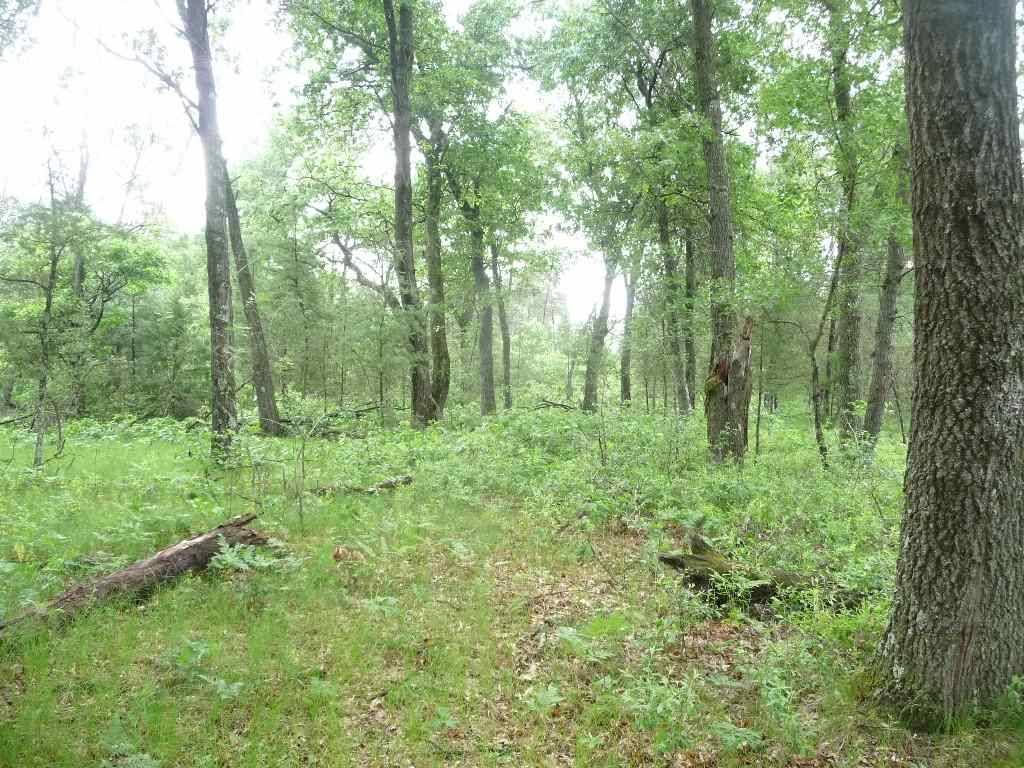 New Lisbon, WI 53950,Lot 3 Hidden Bay