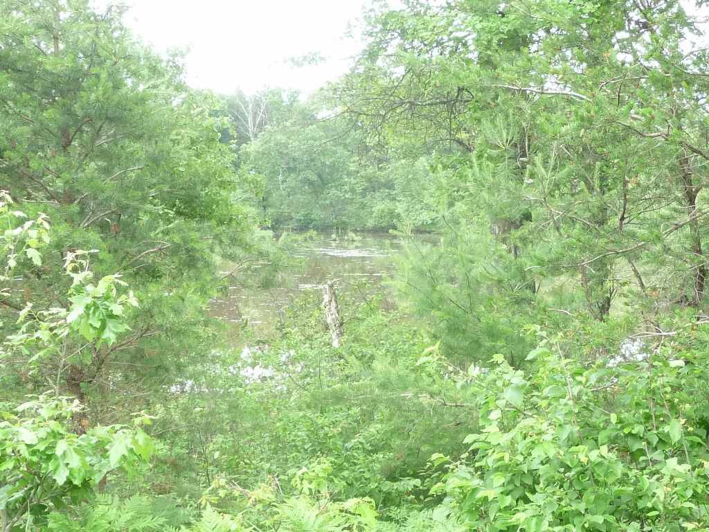 New Lisbon, WI 53950,Lot 3 Hidden Bay