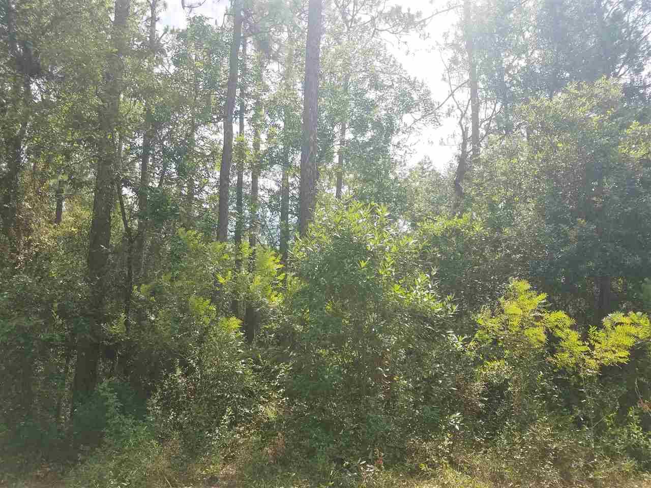 Lee, FL 32059,Vacant NE River Park Road #2