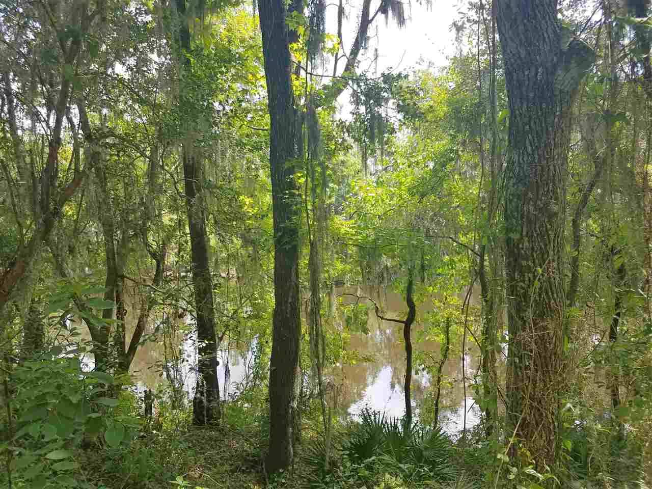 Lee, FL 32059,Vacant NE River Park Road #2