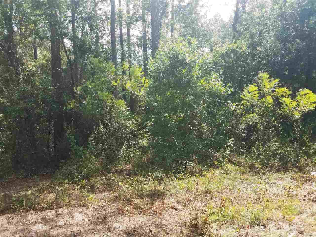 Lee, FL 32059,Vacant NE River Park Road #2