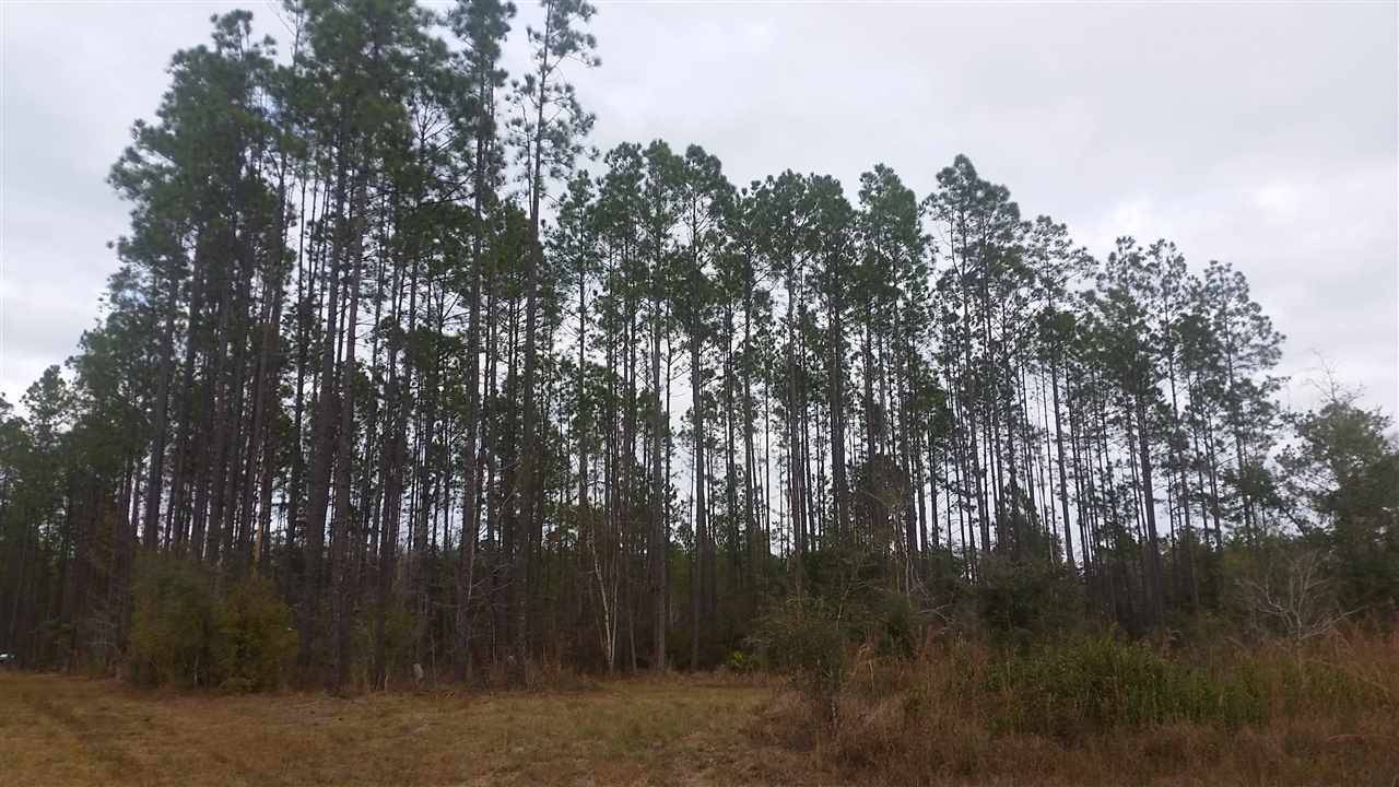 Greenville, FL 32331,Lot 48 SE Oregon Trail #0