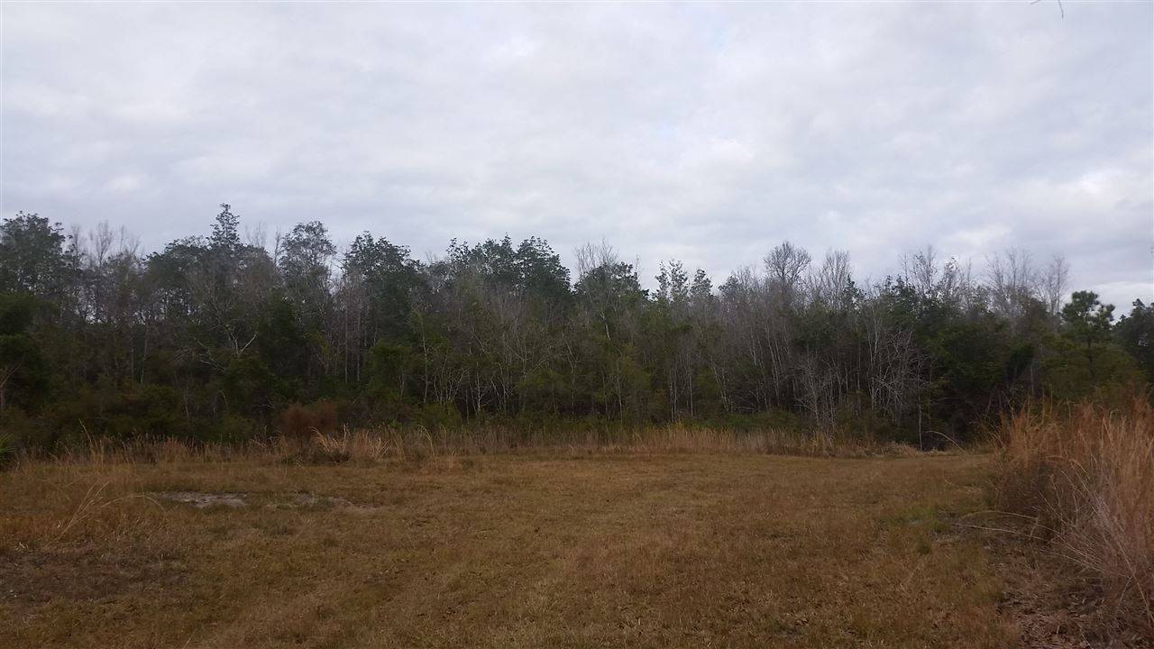 Greenville, FL 32331,Lot 48 SE Oregon Trail #0