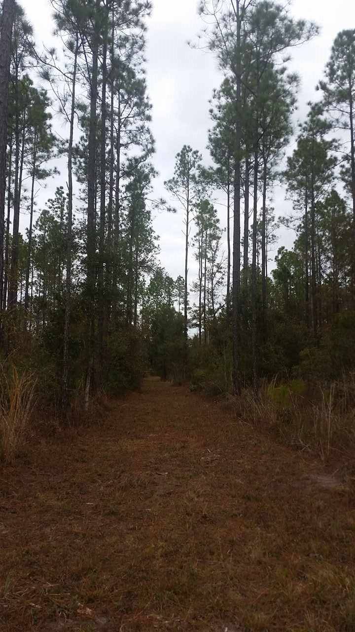 Greenville, FL 32331,Lot 48 SE Oregon Trail #0