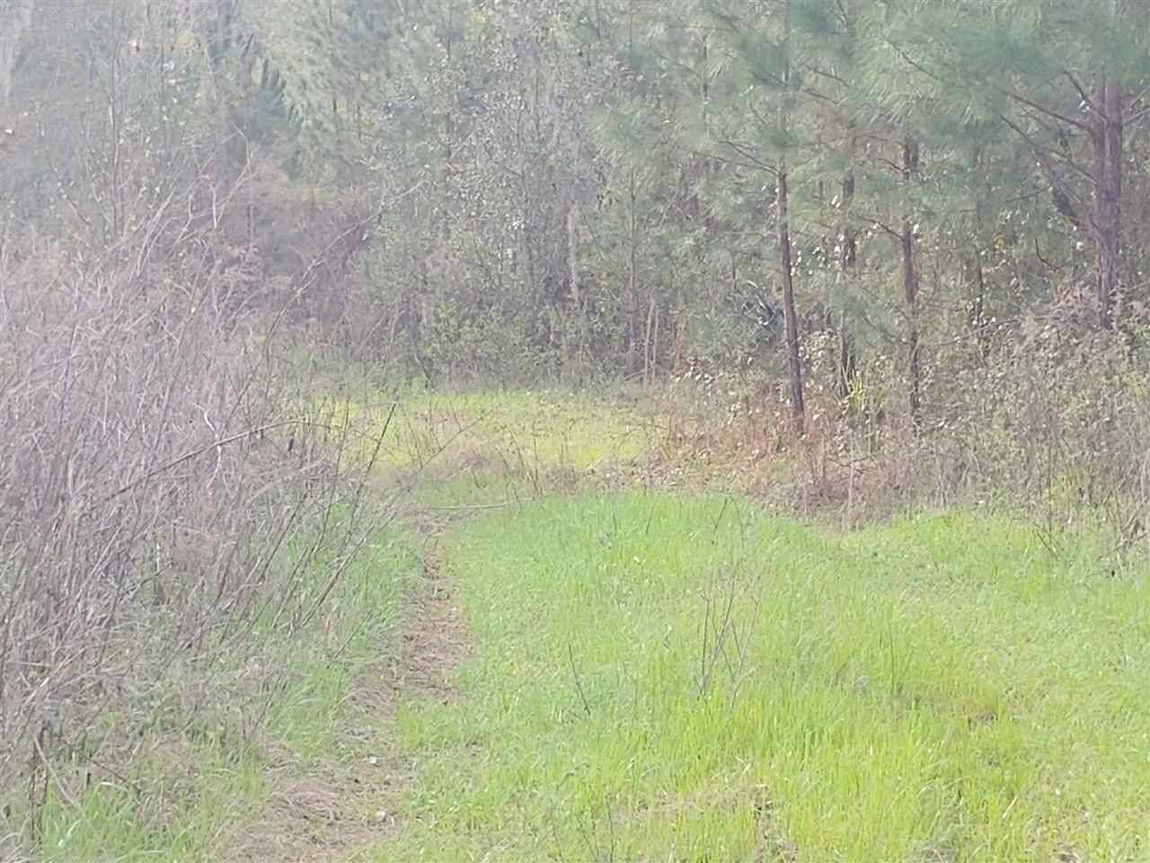 Monticello, FL 32344,xxx S Jefferson Highway