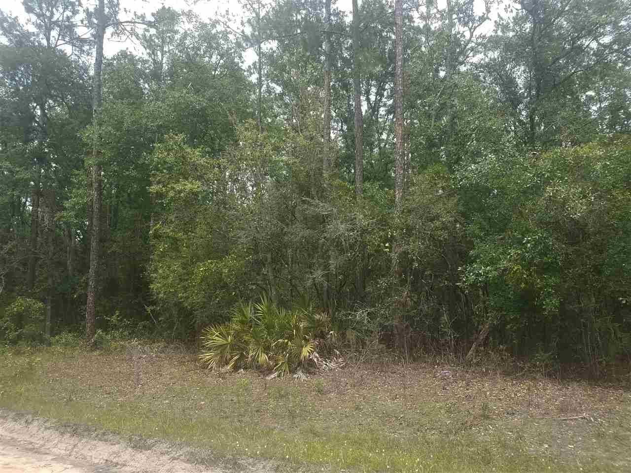 Lee, FL 32059,Vacant NE River Park Road