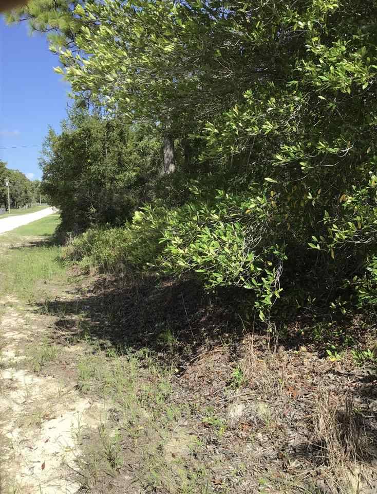 Perry, FL 32348,000 Live Oak Rd. Drive