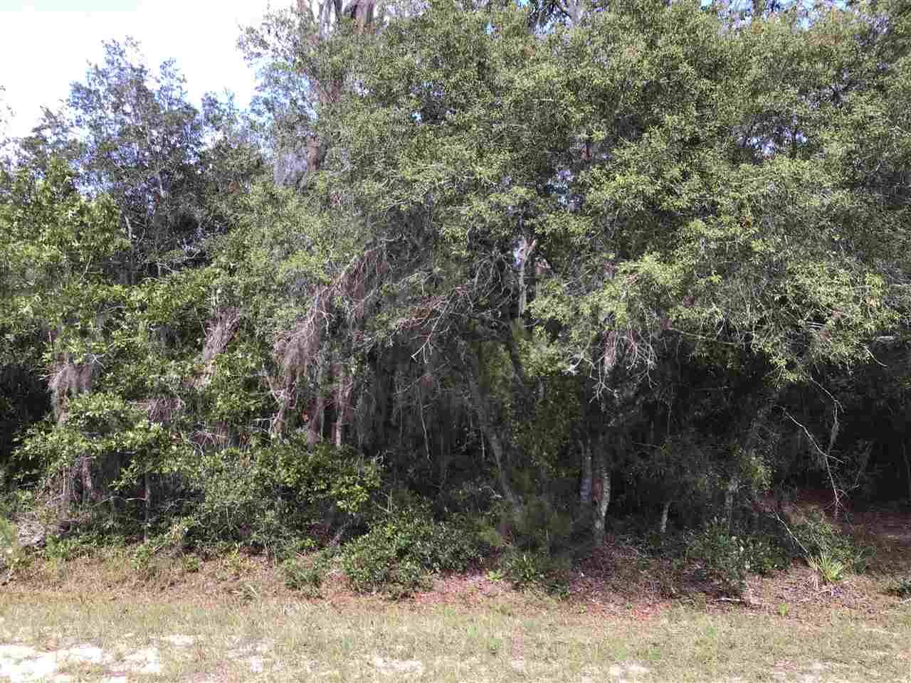 Perry, FL 32348,000 Live Oak Rd. Drive