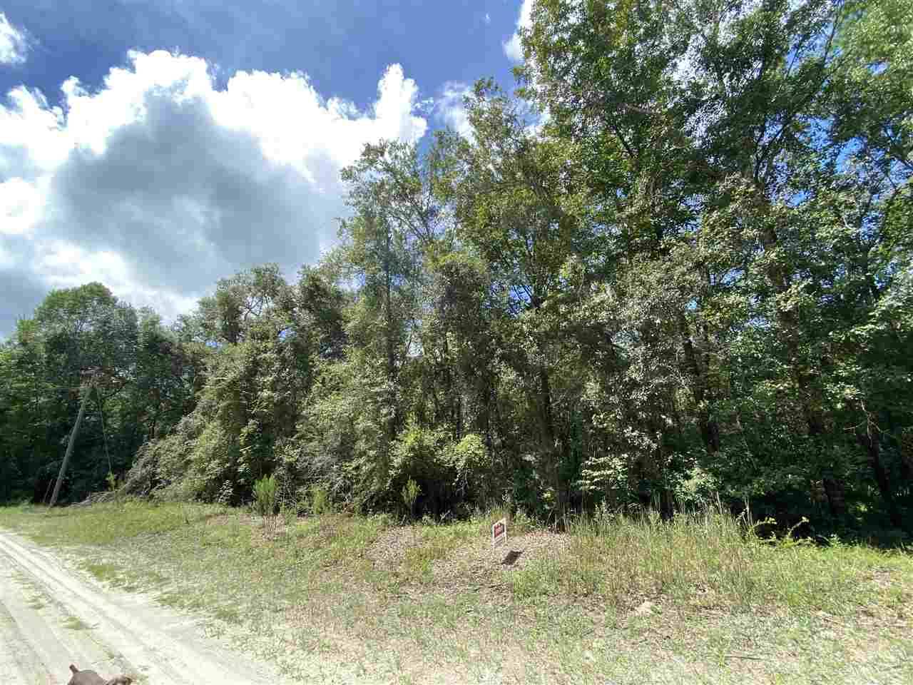 Lee, FL 32059,Vacant NE River Ridge Way