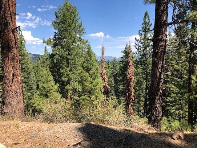 Truckee, CA 96161,Parcel C Kent Drive