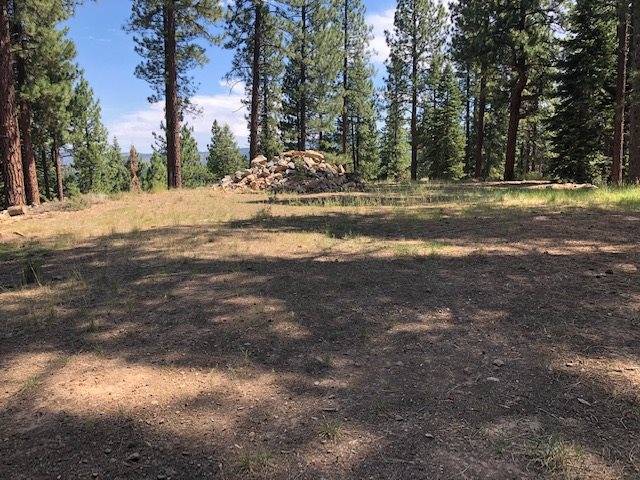 Truckee, CA 96161,Parcel C Kent Drive